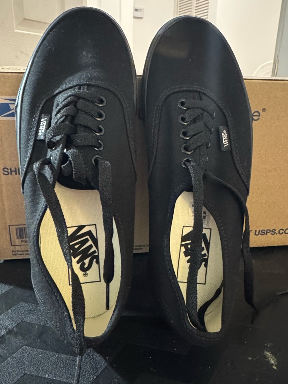 Vans Black Canvas Low-Top Sneakers